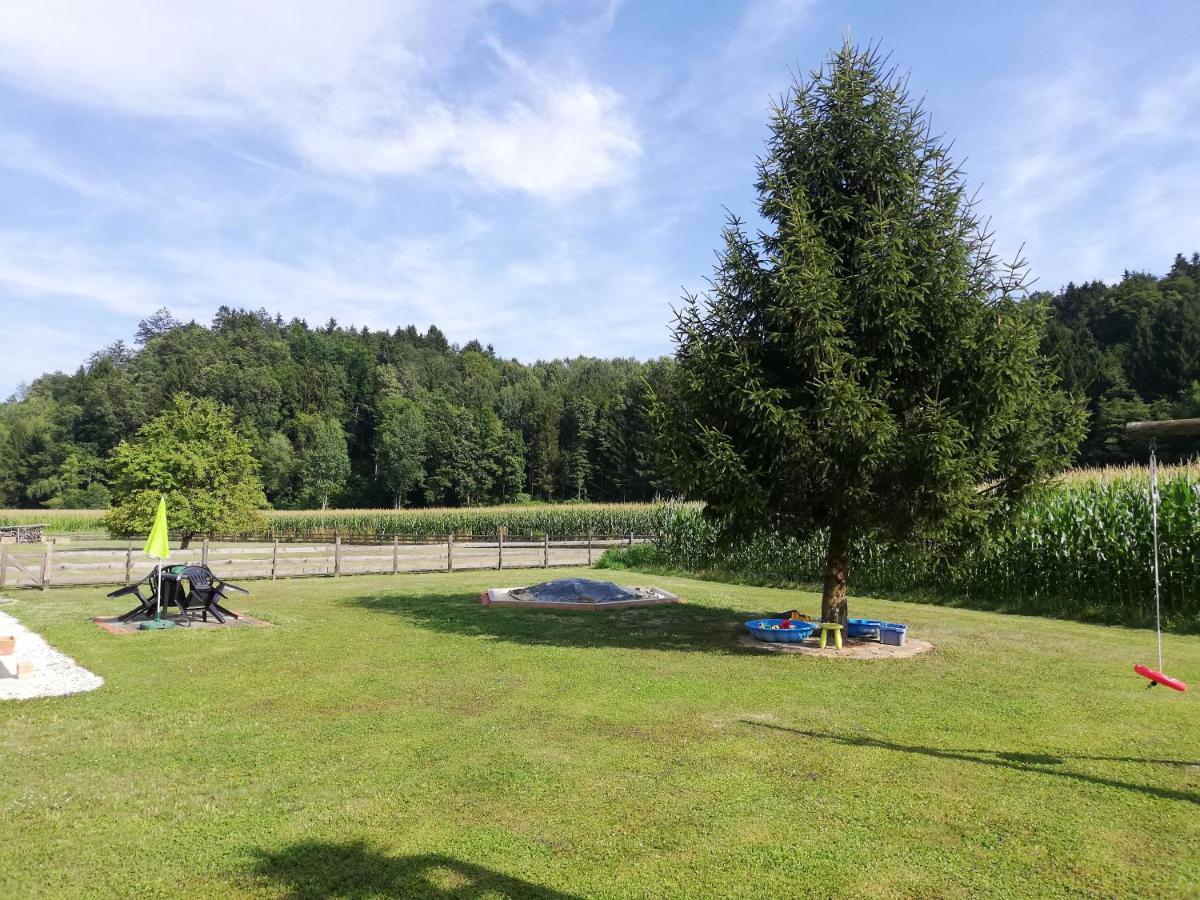 Ferienhaus Am Bach Kirchberg an der Raab Eksteriør billede